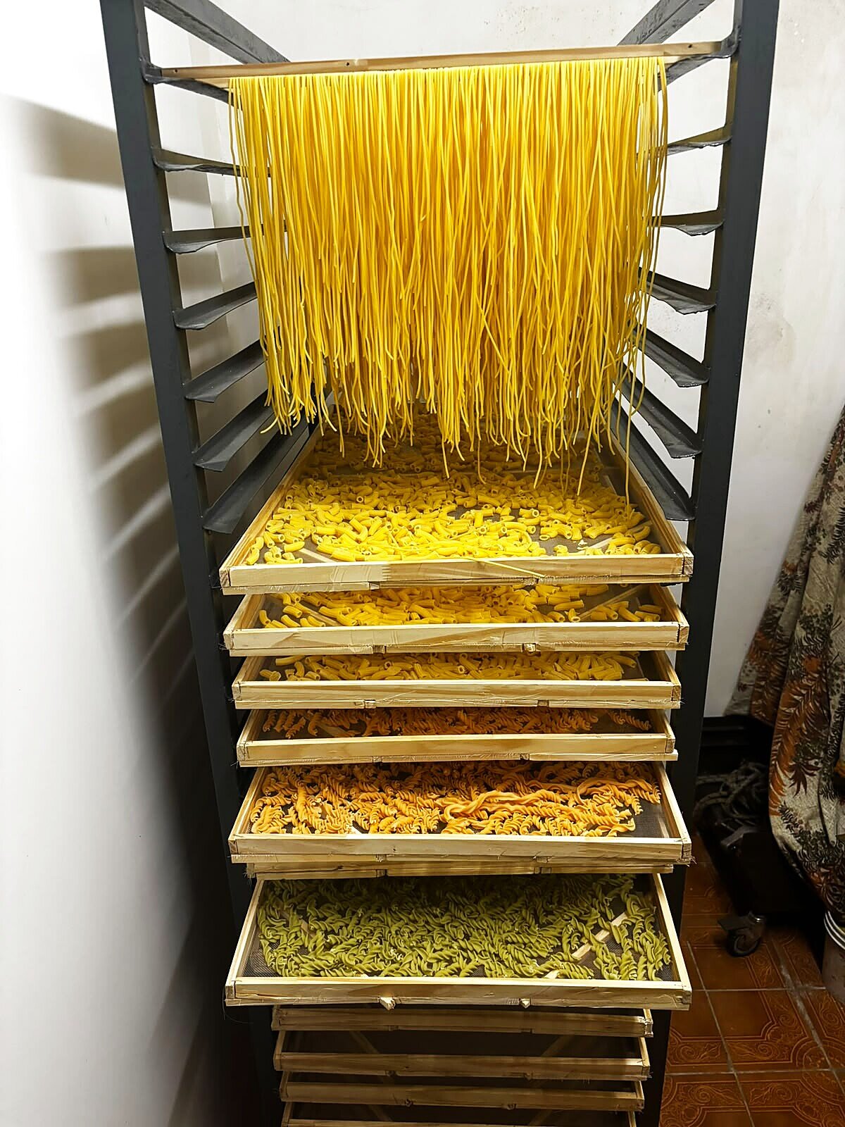 Carro secadero de fideos con 24 bandejas